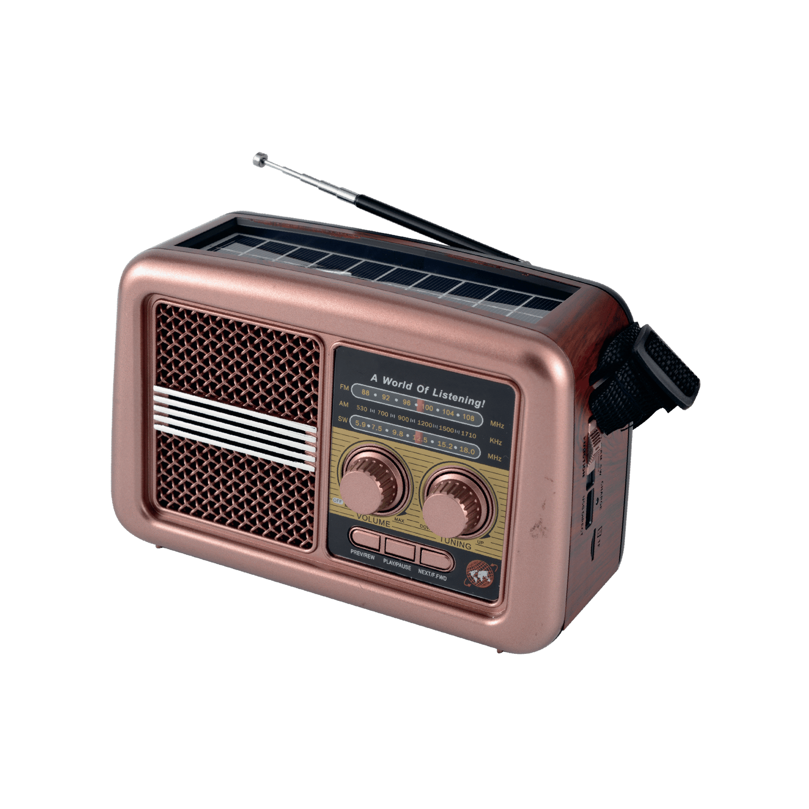 Solar Radio