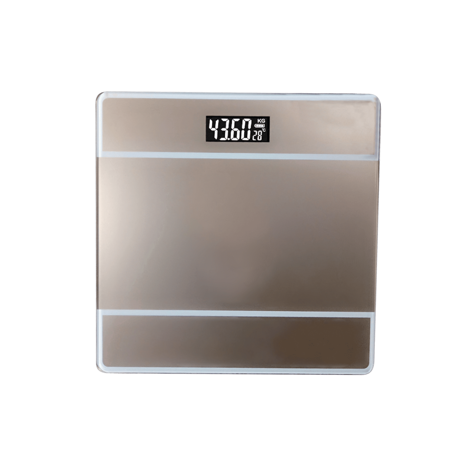 Digital Weight Scale