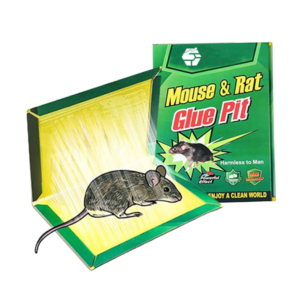 Mouse Glue Trap